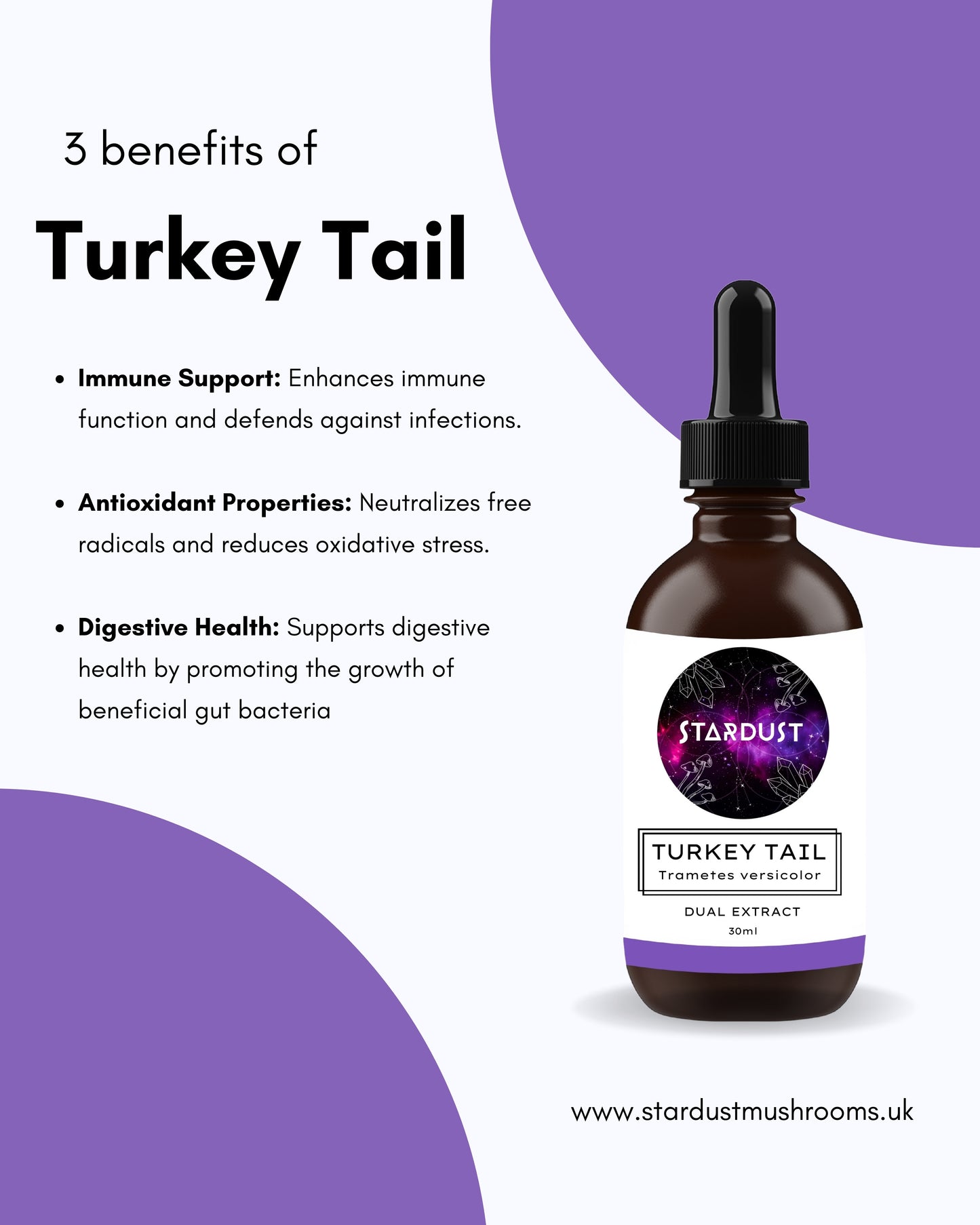 Turkey Tail Tincture | IMMUNITY