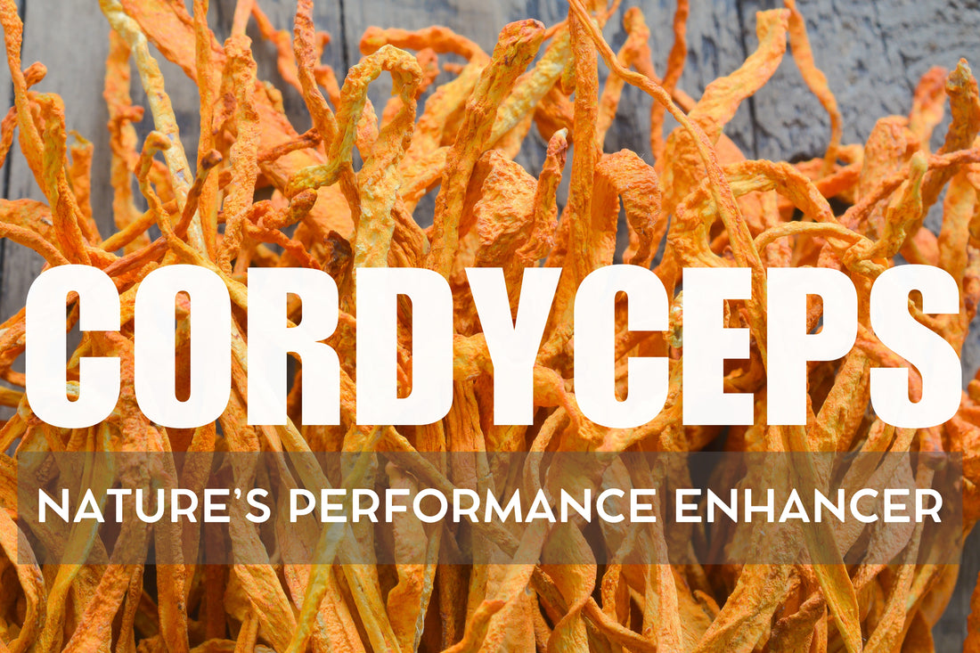 Cordyceps: Nature’s Performance Enhancer