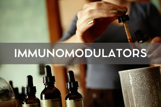 Immunomodulators: Mushrooms and Your Immune System