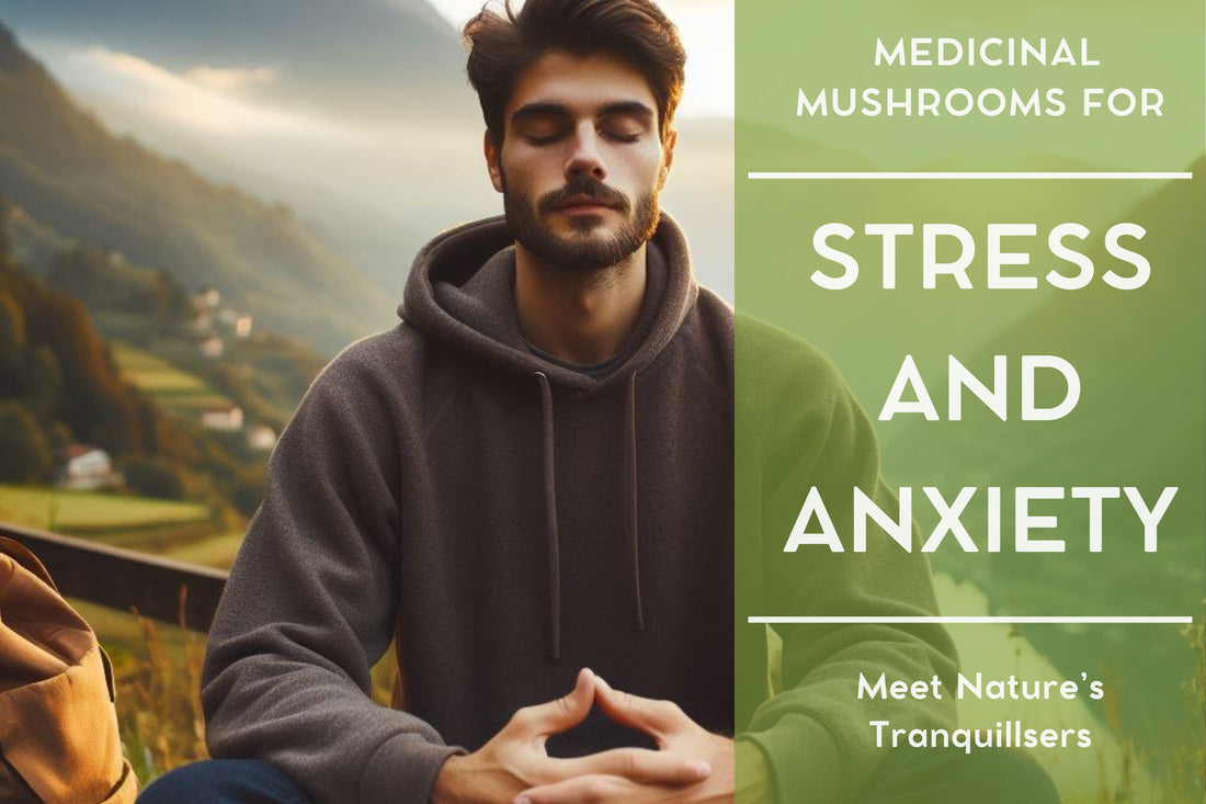 Medicinal Mushrooms for Stress and Anxiety: Nature's Tranquilizers