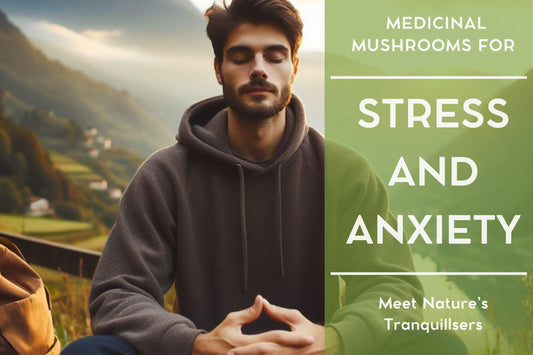 Medicinal Mushrooms for Stress and Anxiety: Nature's Tranquilizers