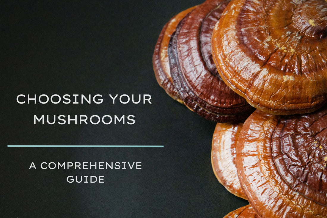 Choosing Your Mushrooms - A Comprehensive Guide