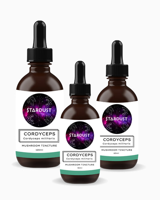 Cordyceps Mushroom Tincture | ENERGISE