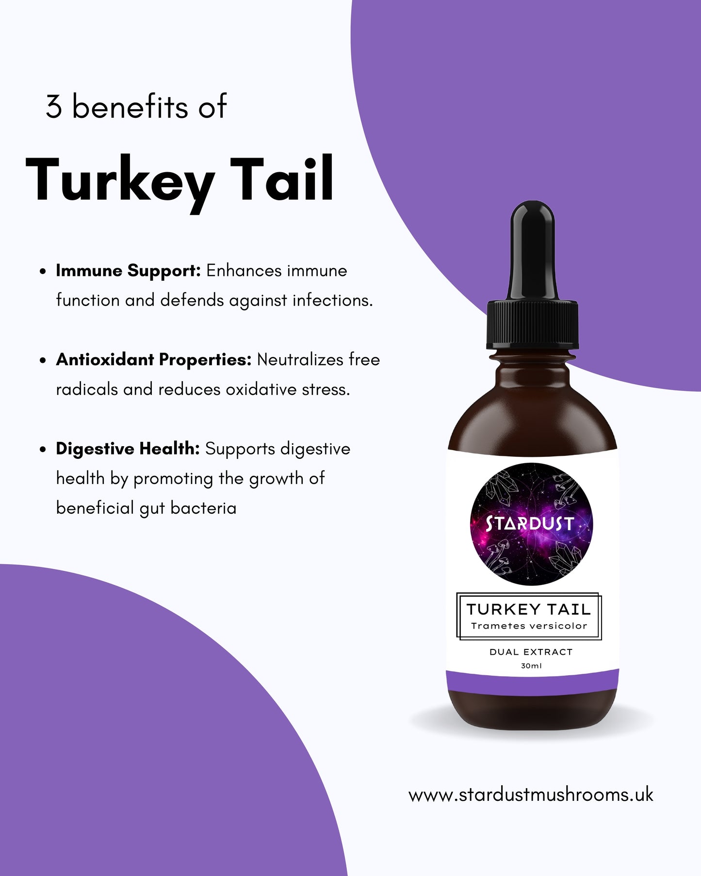 Turkey Tail Tincture | IMMUNITY