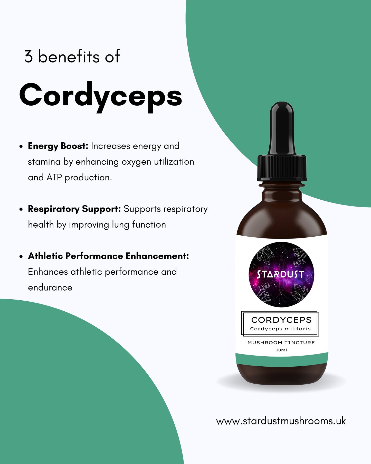 Cordyceps Mushroom Tincture | ENERGISE