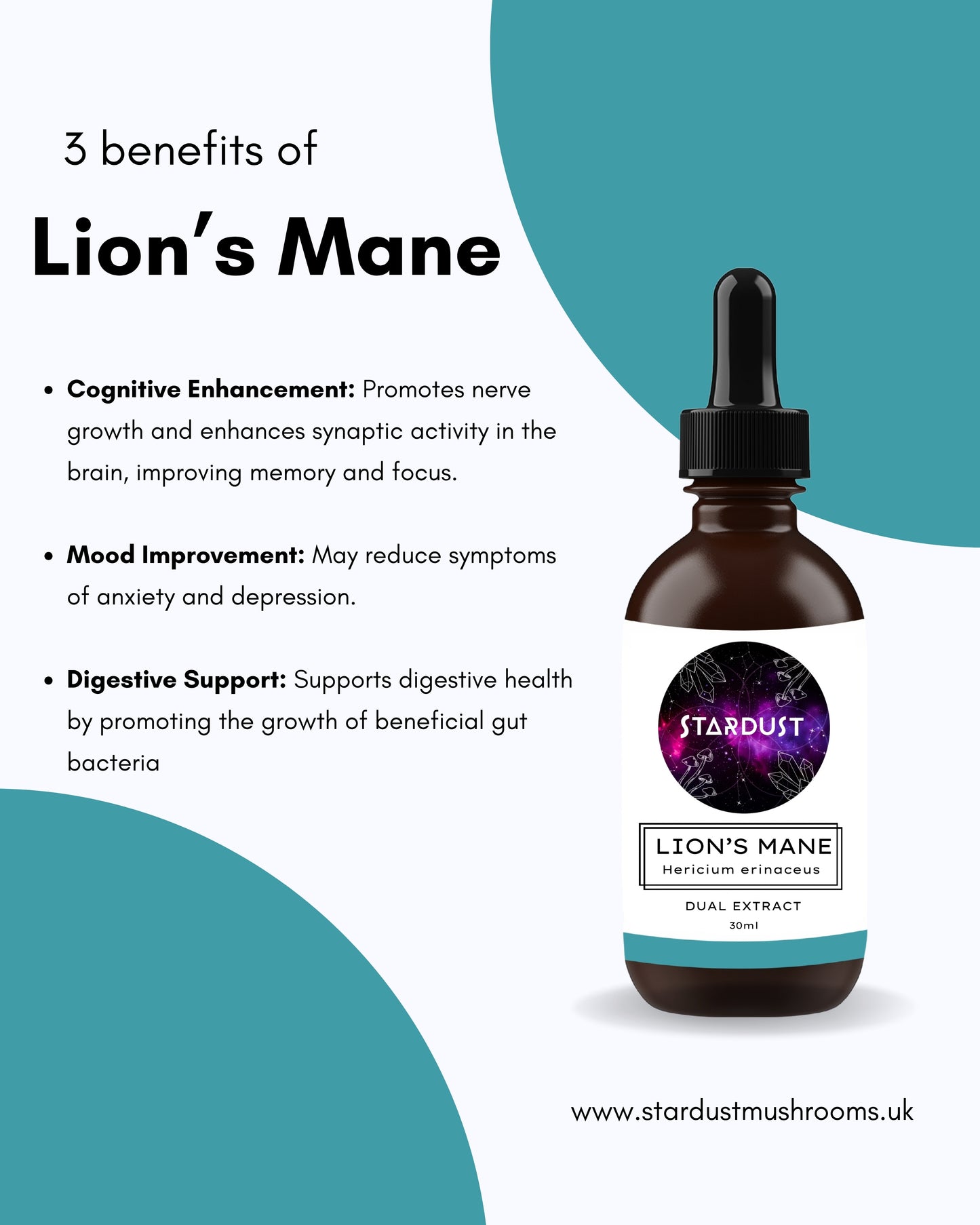 Lion's Mane Mushroom Tincture | CLARITY